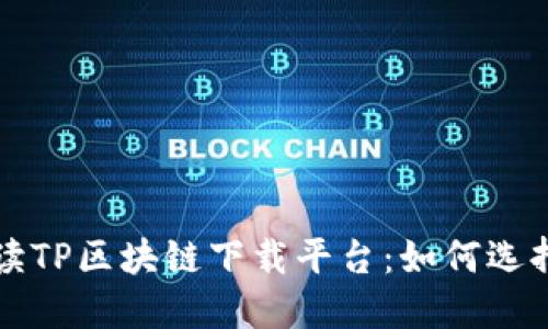 全面解讀TP區(qū)塊鏈下載平臺(tái)：如何選擇和使用