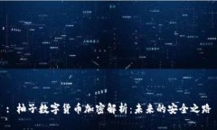 : 柚子數(shù)字貨幣加密解析：未來的安全之路