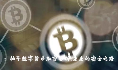 : 柚子數(shù)字貨幣加密解析：未來的安全之路