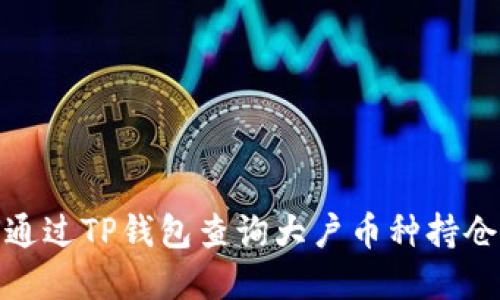 如何通過TP錢包查詢大戶幣種持倉(cāng)情況