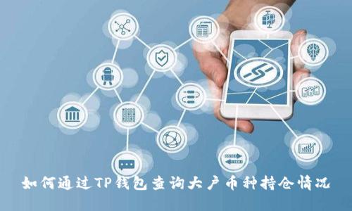 如何通過TP錢包查詢大戶幣種持倉(cāng)情況