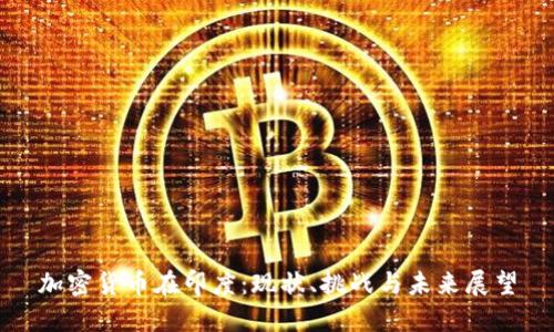 加密貨幣在印度：現(xiàn)狀、挑戰(zhàn)與未來展望