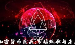 中國(guó)加密貨幣巨頭：市場(chǎng)現(xiàn)狀與未來(lái)展望